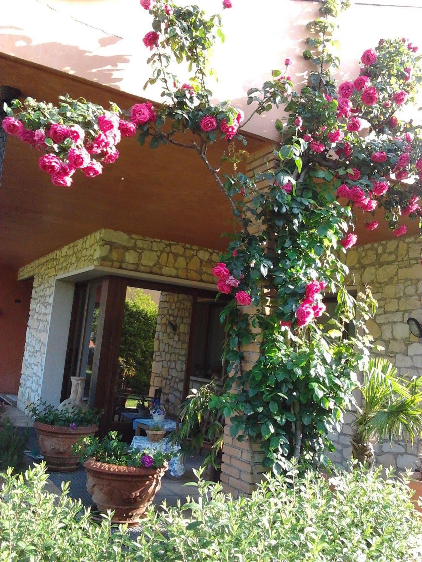 La Dolce Vita Montecchia di Crosara ภายนอก รูปภาพ